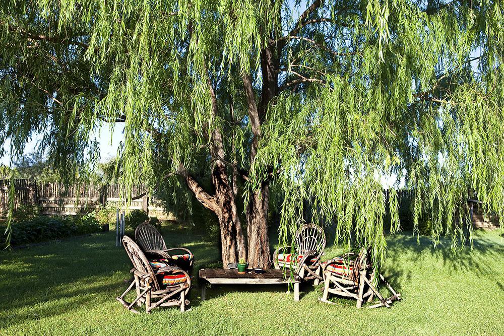 Casa Gallina - An Artisan Inn Taos Eksteriør bilde